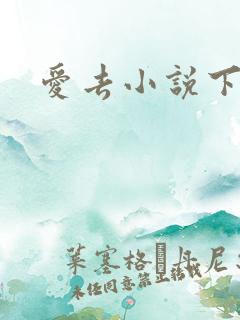 爱去小说下载网