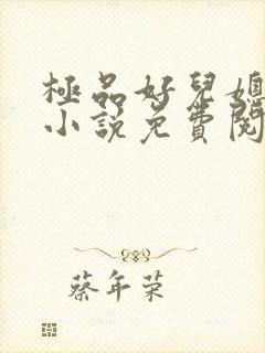 极品好儿媳苏灿小说免费阅读