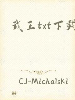武王txt下载