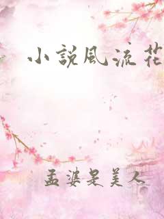 小说风流花少