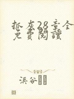 抓灰28章全部免费阅读