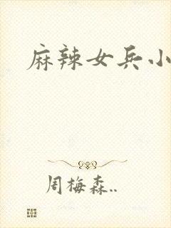 麻辣女兵小说版