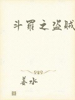 斗罗之盗贼