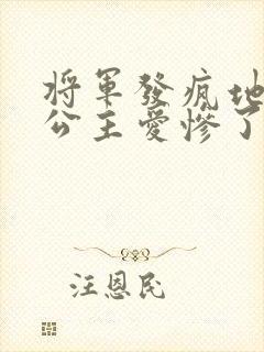 将军发疯地撞着公主爱惨了公主