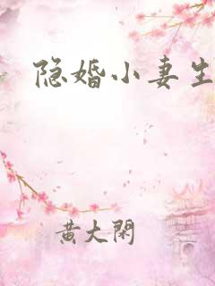 隐婚小妻生个娃