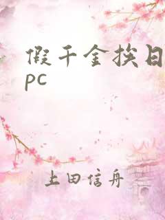 假千金挨日记npc