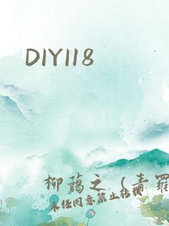 DIYI18