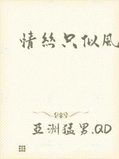 情丝只似风前絮