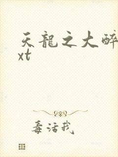 天龙之大醉侠txt