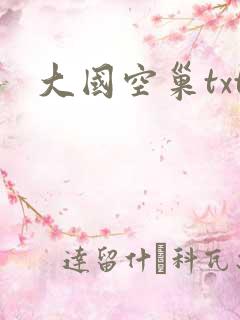 大国空巢txt