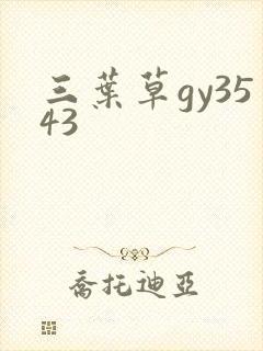 三叶草gy3543