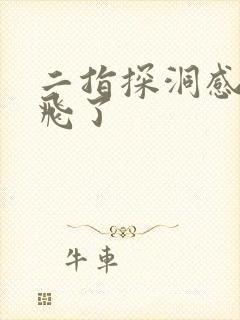 二指探洞感觉要飞了