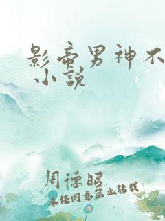 影帝男神不节制 小说