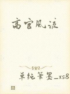 高官风流