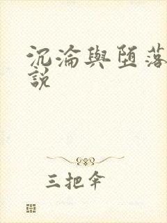 沉沦与堕落的小说