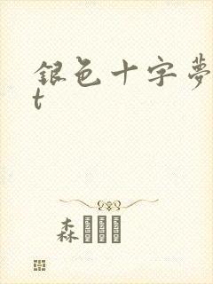 银色十字梦txt