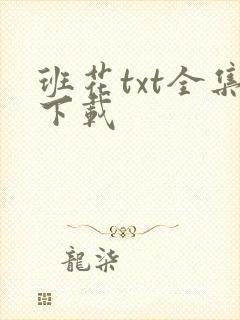 班花txt全集下载