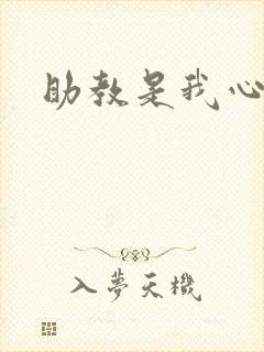 助教是我心尖宠