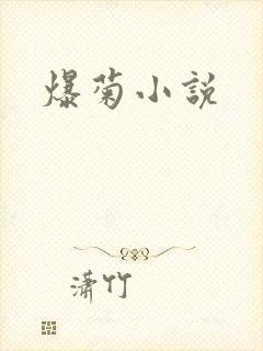 爆菊小说