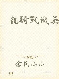 龙骑战机无弹窗