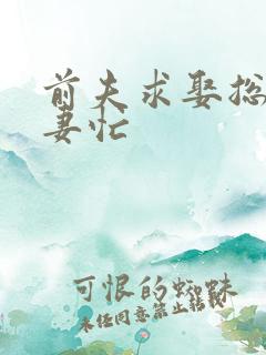 前夫求娶总裁追妻忙