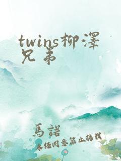 twins柳泽兄弟