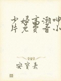 少妇高潮呻吟A片免费看小说