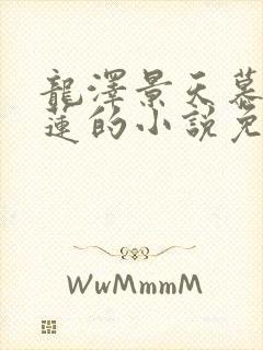 龙泽景天慕容青莲的小说免费阅读