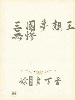 三国梦想王元姬无惨