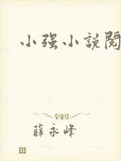 小强小说阅读网