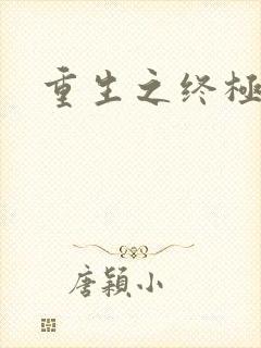 重生之终极杀手