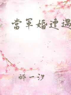 当军婚遭遇爱情