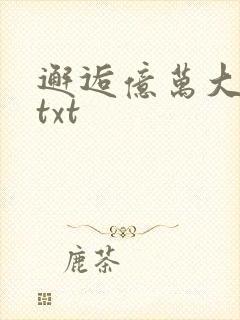 邂逅亿万大人物txt