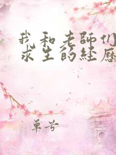 我和老师们荒岛求生的经历 小说