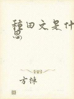 种田文是什么意思