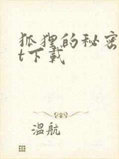 狐狸的秘密txt下载