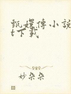 甄嬛传小说txt下载