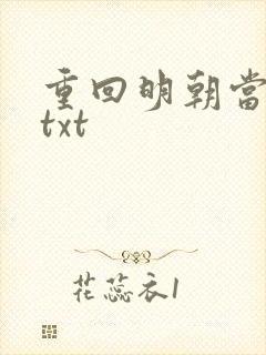 重回明朝当皇帝txt