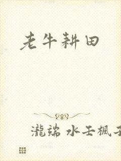 老牛耕田