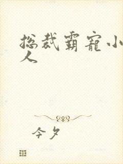 总裁霸宠小小女人