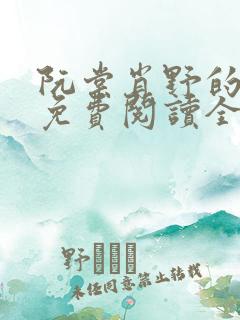 阮棠肖野的小说免费阅读全文