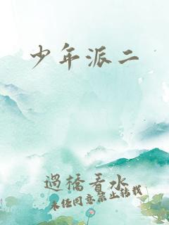 少年派二