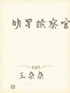 明星检察官小说