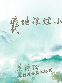 遍地狼烟小说下载