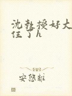 沈教授好大含不住了h