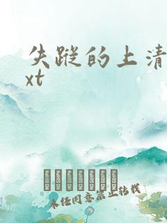 失踪的上清寺txt