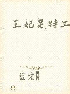 王妃是特工