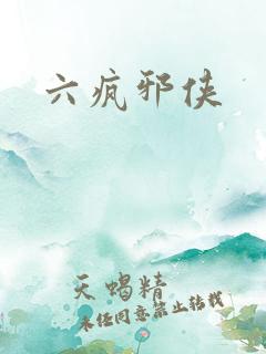 六疯邪侠