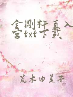 金刚杵直入莲花宫txt下载