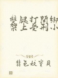 双腿打开绑在刑架上受刑小说